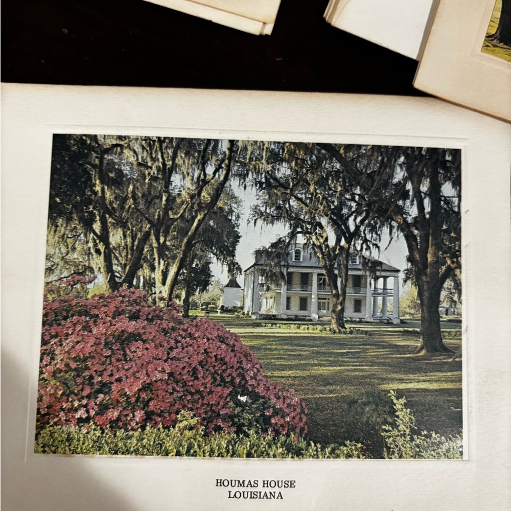 Vintage Louisiana Postcard Set